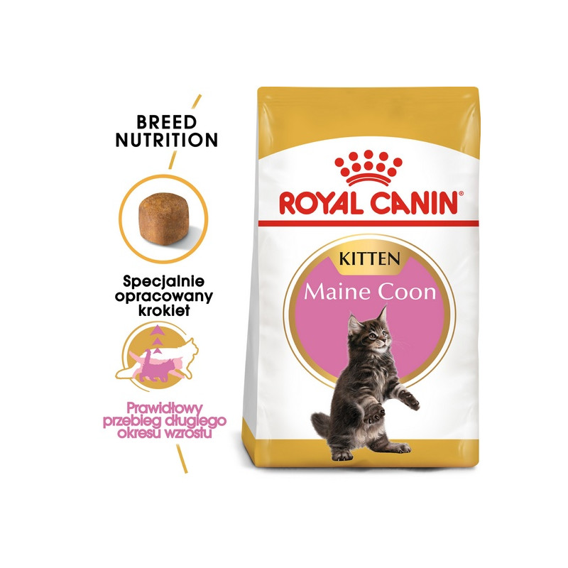 Royal Canin Maine Coon Kitten karma sucha dla kociąt, do 15 miesiąca, rasy maine coon 2kg - All4Animals