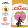 Royal Canin Maine Coon Kitten karma sucha dla kociąt, do 15 miesiąca, rasy maine coon 2kg - All4Animals