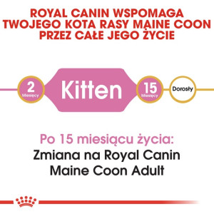 Royal Canin Maine Coon Kitten karma sucha dla kociąt, do 15 miesiąca, rasy maine coon 2kg - All4Animals