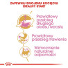 Royal Canin Maine Coon Kitten karma sucha dla kociąt, do 15 miesiąca, rasy maine coon 2kg - All4Animals