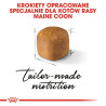 Royal Canin Maine Coon Kitten karma sucha dla kociąt, do 15 miesiąca, rasy maine coon 2kg - All4Animals