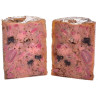 Carnilove Dog Wild Meat Salmon & Turkey Adult - łosoś i indyk puszka 400g - All4Animals