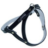 Champion Szelki 50 czarne [SD] - All4Animals