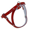 Champion Szelki 60 czerwone [SD(R)] - All4Animals