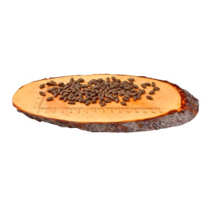 Carnilove Cat Salmon Sensitive & Long Hair - łosoś 2kg - All4Animals