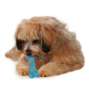 Petstages Orka Mini Kosteczka PS221 - All4Animals