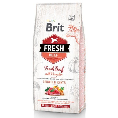 Brit Fresh Dog Puppy Large Beef & Pumpkin 2,5kg - All4Animals