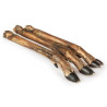 Balto Racica sarny 5szt - All4Animals