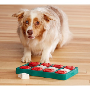 Nina Ottosson Brick - gra edukacyjna [67333] - All4Animals