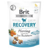 Brit Functional Snack Recovery Herring 150g - All4Animals