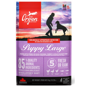Orijen Puppy Large Breed 6kg - All4Animals