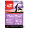 Orijen Puppy Large Breed 6kg - All4Animals