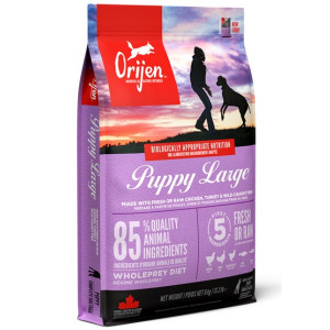 Orijen Puppy Large Breed 6kg - All4Animals