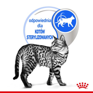 Royal Canin Indoor Sterilised Jelly karma mokra dla kotów dorosłych sterylizowanych, przebywających w domu saszetka 85g - All4An