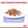 Royal Canin Indoor Sterilised Jelly karma mokra dla kotów dorosłych sterylizowanych, przebywających w domu saszetka 85g - All4An