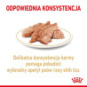 Royal Canin Shih Tzu Adult karma mokra dla psów dorosłych rasy shih tzu saszetka 85g - All4Animals