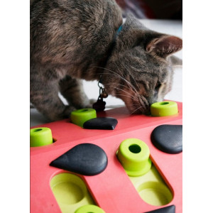 Nina Ottosson Cat Melon Madness Puzzle & Play - gra edukacyjna dla kotów - All4Animals