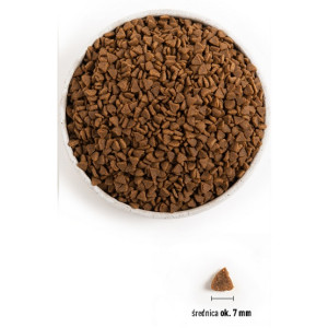 Acana First Feast Cat & Kitten 340g - All4Animals