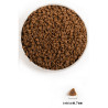 Acana First Feast Cat & Kitten 340g - All4Animals