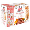Brit Care Cat Fillets In Gravy Flavour Box saszetki 12x85g - All4Animals
