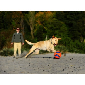 Chuckit! Kick Fetch Small - All4Animals