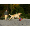 Chuckit! Kick Fetch Small - All4Animals