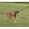 Dingo Zabawka dla psa - Sztuczne Futro z rączką bungee 150cn - All4Animals
