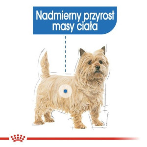 Royal Canin Light Weight Care karma mokra dla psów dorosłych, wszystkich ras z tendencją do nadwagi saszetka 85g - All4Animals