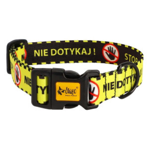 Dingo Obroża regulowana City - Nie Dotykaj 3,0cm/60cm - All4Animals