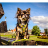 Dingo Szelki dwupaskowe Guard City - Nie Dotykaj rozmiar M - All4Animals