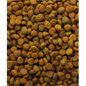 Versele-Laga Oke Cat Classic Variety 10kg - All4Animals