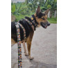 Dingo Obroża regulowana City - Chiapas 3,0cm/60cm - All4Animals