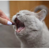 UrinoVet Cat Dilution 45 kapsułek - All4Animals