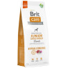 Brit Care Hypoallergenic Junior Large Lamb 12kg - All4Animals