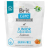 Brit Care Grain Free Junior Large Breed Salmon 1kg - All4Animals