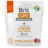 Brit Care Hypoallergenic Junior Large Lamb 1kg - All4Animals