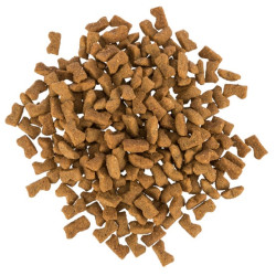 Trixie Denta Fun Dentinos 50g - All4Animals