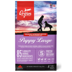Orijen Puppy Large Breed 11,4kg - All4Animals