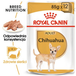 Royal Canin Chihuahua Adult karma mokra – pasztet, dla psów dorosłych rasy chihuahua saszetka 85g - All4Animals