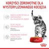 Royal Canin Kitten Sterilised karma mokra w galaretce dla kociąt od 6 do 12 miesiąca życia, sterylizowanych saszetka 85g - All4A