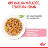 Royal Canin Kitten Sterilised karma mokra w galaretce dla kociąt od 6 do 12 miesiąca życia, sterylizowanych saszetka 85g - All4A