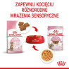 Royal Canin Kitten Sterilised karma mokra w galaretce dla kociąt od 6 do 12 miesiąca życia, sterylizowanych saszetka 85g - All4A