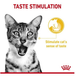 Royal Canin Sensory Taste w sosie karma mokra dla kotów dorosłych saszetka 85g - All4Animals