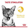 Royal Canin Sensory Taste w sosie karma mokra dla kotów dorosłych saszetka 85g - All4Animals