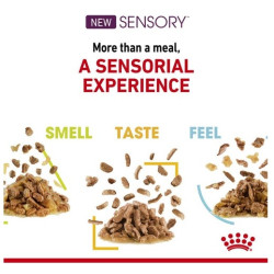 Royal Canin Sensory Taste w sosie karma mokra dla kotów dorosłych saszetka 85g - All4Animals