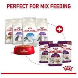 Royal Canin Sensory Taste w sosie karma mokra dla kotów dorosłych saszetka 85g - All4Animals