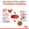 Royal Canin Kitten w galaretce karma mokra dla kociąt do 12 miesiąca życia saszetka 85g - All4Animals