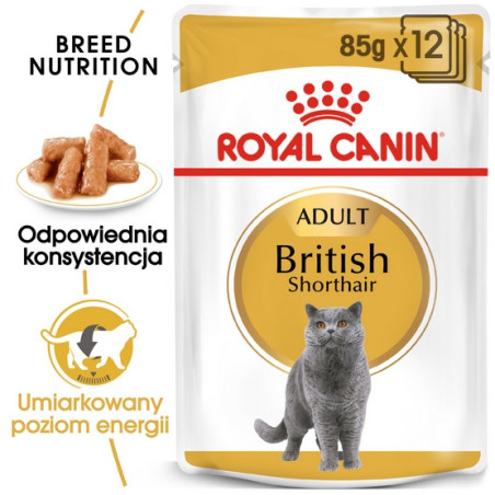 Royal Canin British Shorthair karma mokra w sosie dla kotów dorosłych rasy brytyjski krótkowłosy saszetka 85g - All4Animals