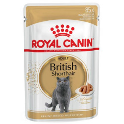 Royal Canin British Shorthair karma mokra w sosie dla kotów dorosłych rasy brytyjski krótkowłosy saszetka 85g - All4Animals