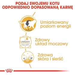 Royal Canin British Shorthair karma mokra w sosie dla kotów dorosłych rasy brytyjski krótkowłosy saszetka 85g - All4Animals